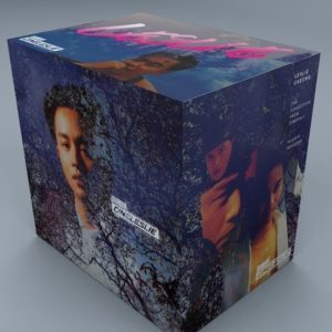 Leslie Cheung 张国荣 - Cineleslie SACD Collection Box Set (Limited Edition) (独立编号证书 + 海报)