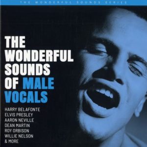 Various Artists - The Wonderful Sounds Of Male Vocals 2LP